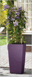 Tall tapered curved square synthetic planter