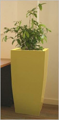 Tall tapered curved square GRP planter