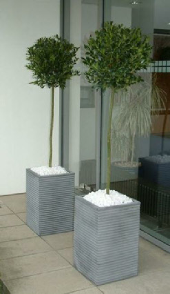 tall square ribbed planters tall square ribbed planters
