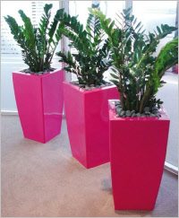 Tall tapered curved square GRP planter