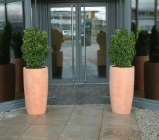 Tall tapered curved round ceramic style GRP planter Tall tapered curved round ceramic style GRP planter