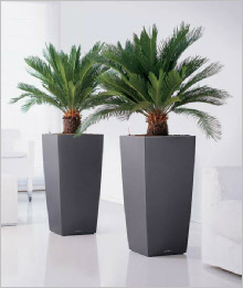 Tall tapered curved square synthetic planter