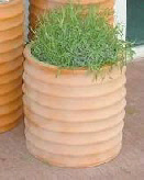 Tall round terracotta style plant containers